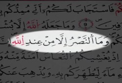أسباب النصر والهزيمة في التاريخ الإسلامي