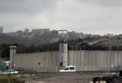 المطالبة بإنقاذ حياة الأسيرات المريضات في سجن الدامون
