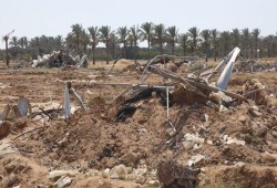 بالأرقام.. دمار شامل للقطاع الزراعي في غزة