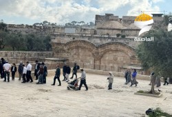 143 صهيونيا يقتحمون الأقصى ويؤدون طقوسًا تلمودية بحماية الاحتلال