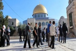 223 صهيونيا يقتحمون الأقصى بحماية قوات الاحتلال