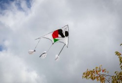 طائرات ورقية في سماء أوروبا تضامنًا مع أطفال غزة